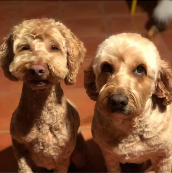 Meet your Posher, Lisa - Picture 1 of 1